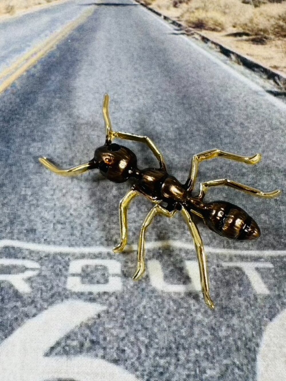 Ants in your pants oh no! How about an adorable ant pin on a jacket or a hat!